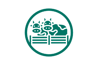 surlat-bienstaranimal-icon-comportamiento