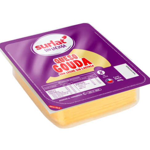 S17004_SURLAT-GOUDA-SL-LAM-400G--1-